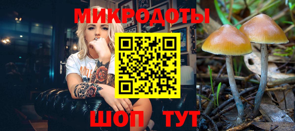 Жуковский  Псилоцибиновые грибы Magic Shrooms  Вход с VPN 